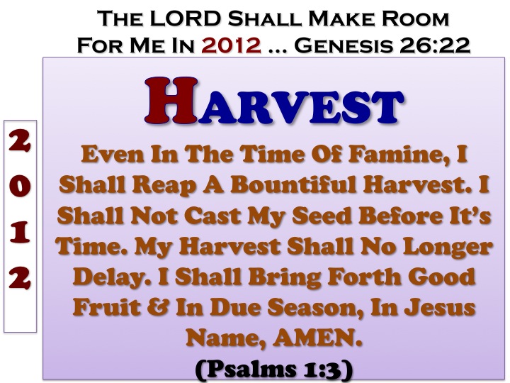 REHOBOTH 2012 - Harvest